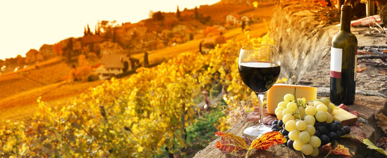 wine-tour - KW Limo Inc.